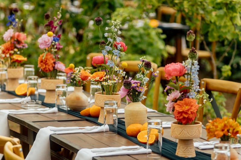 עדי & מקסוול