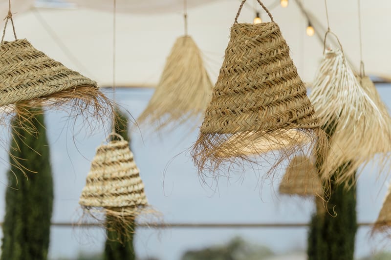 עדי & מקסוול