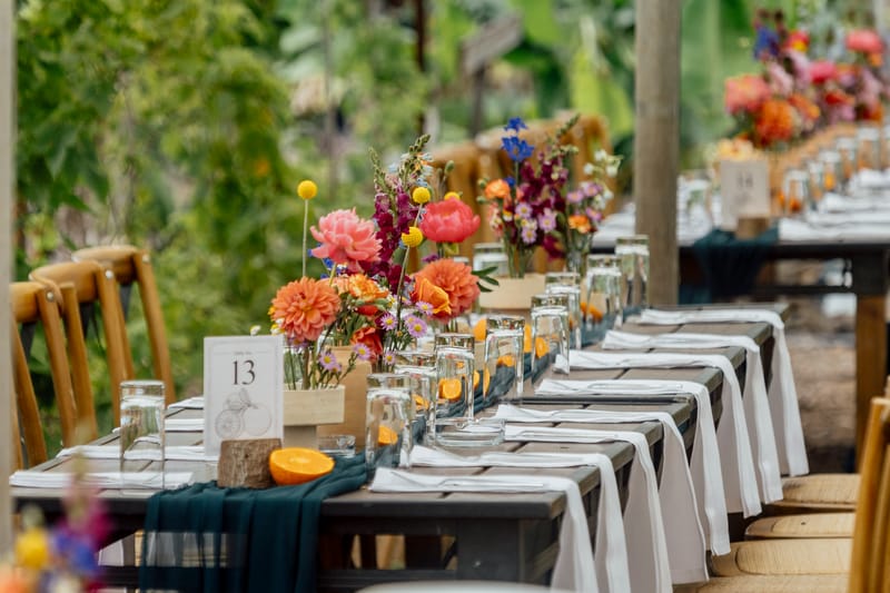 עדי & מקסוול