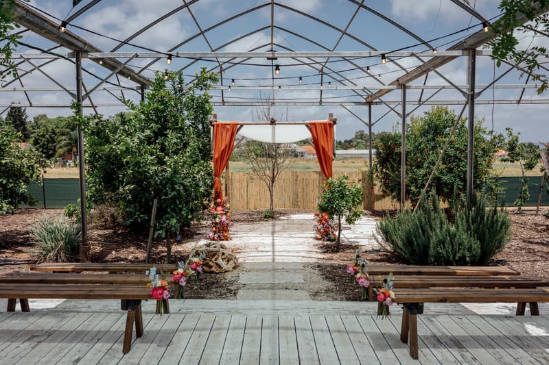 עדי & מקסוול