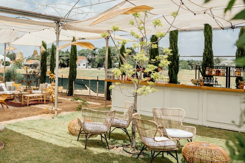 עדי & מקסוול