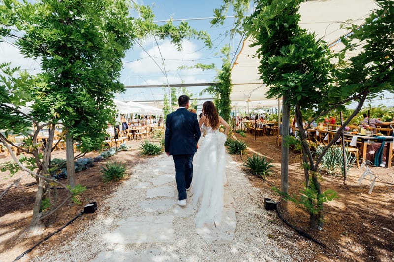 עדי & מקסוול