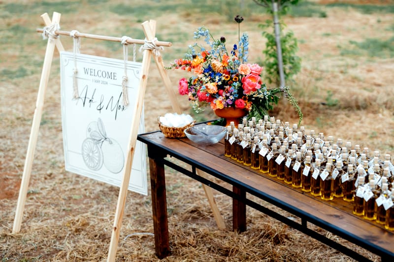 עדי & מקסוול