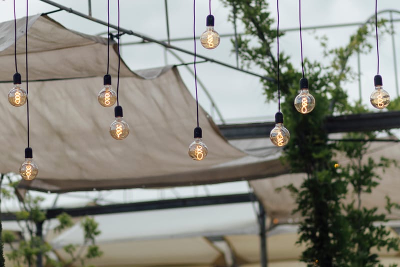 עדי & מקסוול