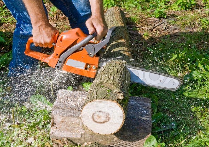 Cutting down Trees without Permission