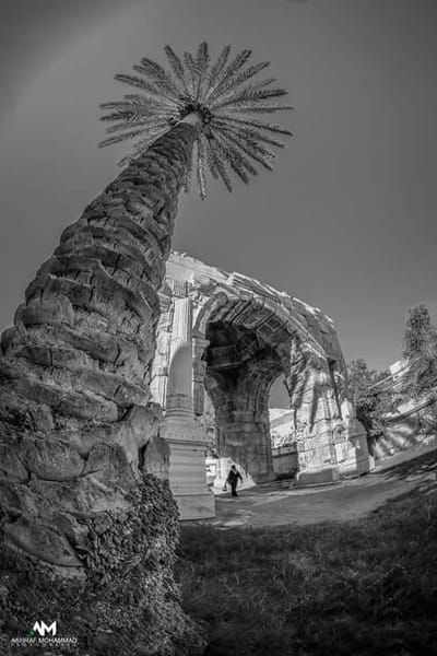 معلومات عنا image