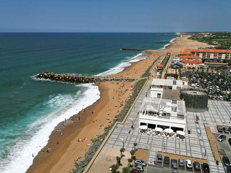 Espace de l'Océan Anglet - King Kong