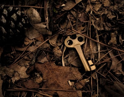 3. Locksmith image