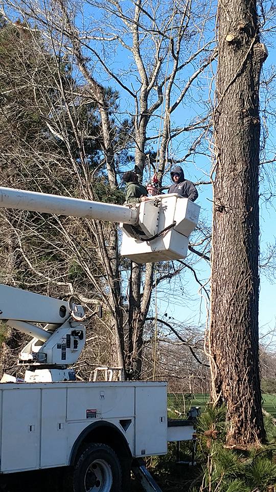 Bucket Truck / Crane