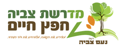 מדרשת צביה