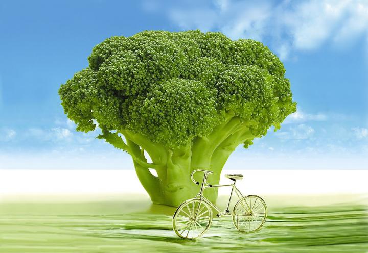Brocoli is very health-beneficial of kidney disease patients
