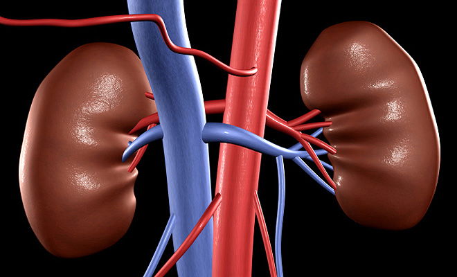 How to control creatinine level well