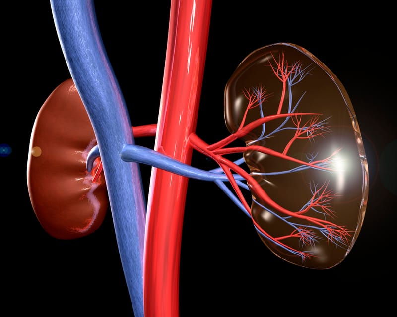 the chinese medicine treat kidney disease  in china