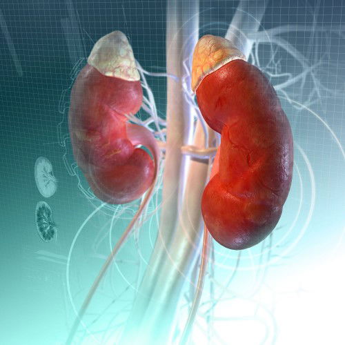 Can Micro-Chinese Medicine Osmotherapy treat lower creatinine 5