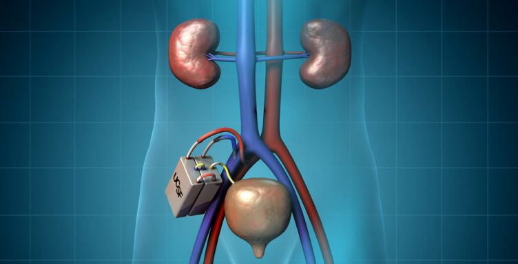 How to improve renal function