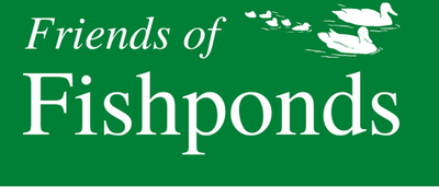 Fishponds Park | Surbiton