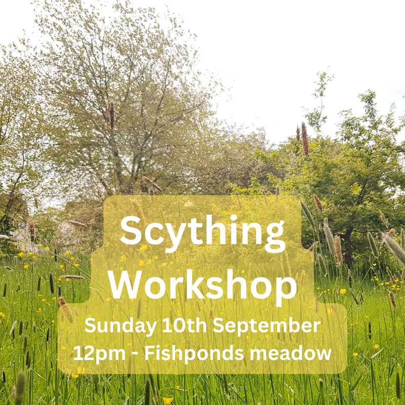 Scything Workshop