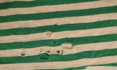 Experimentieren und Entwickeln image