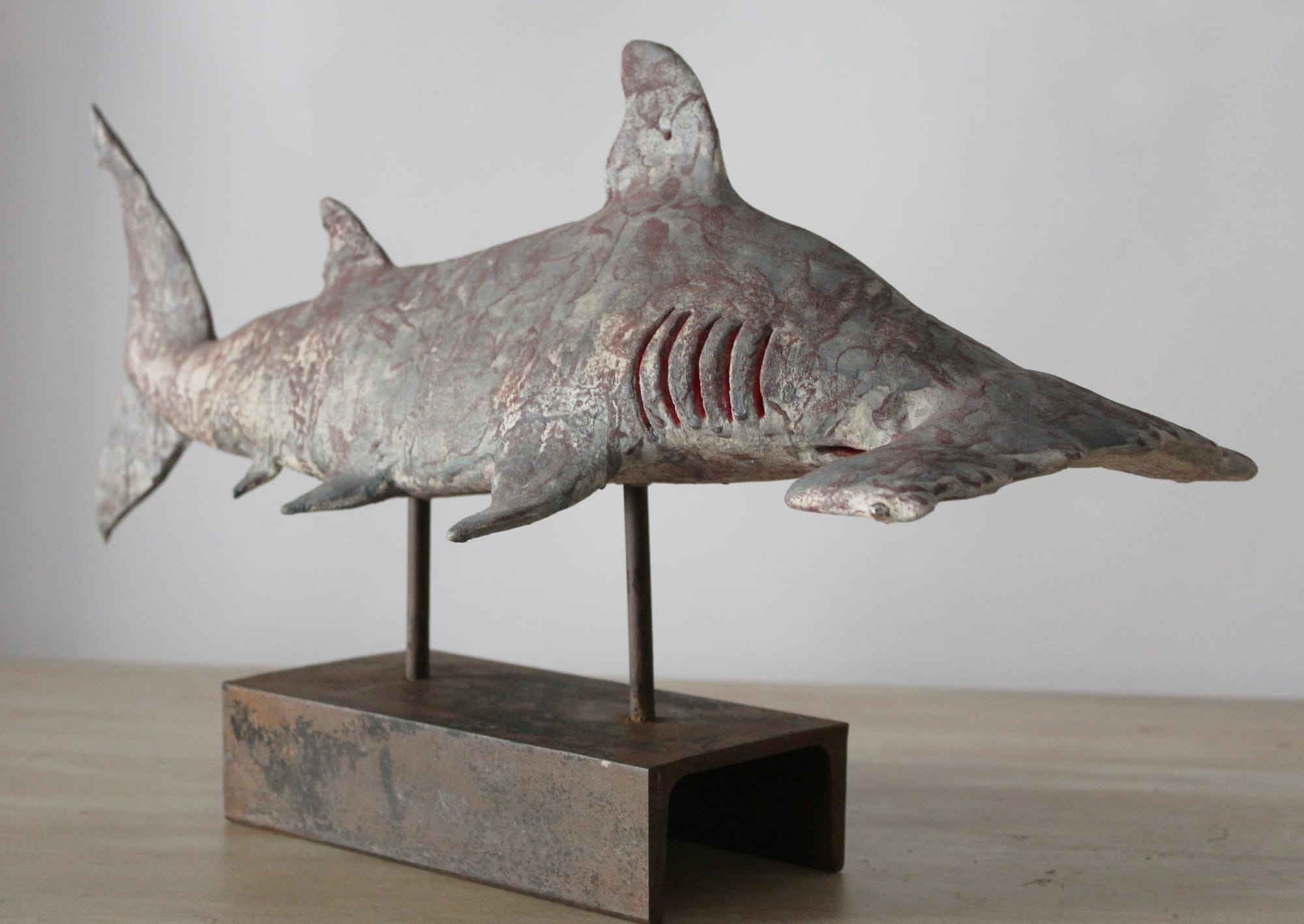 TIBURÓN MARTILLO