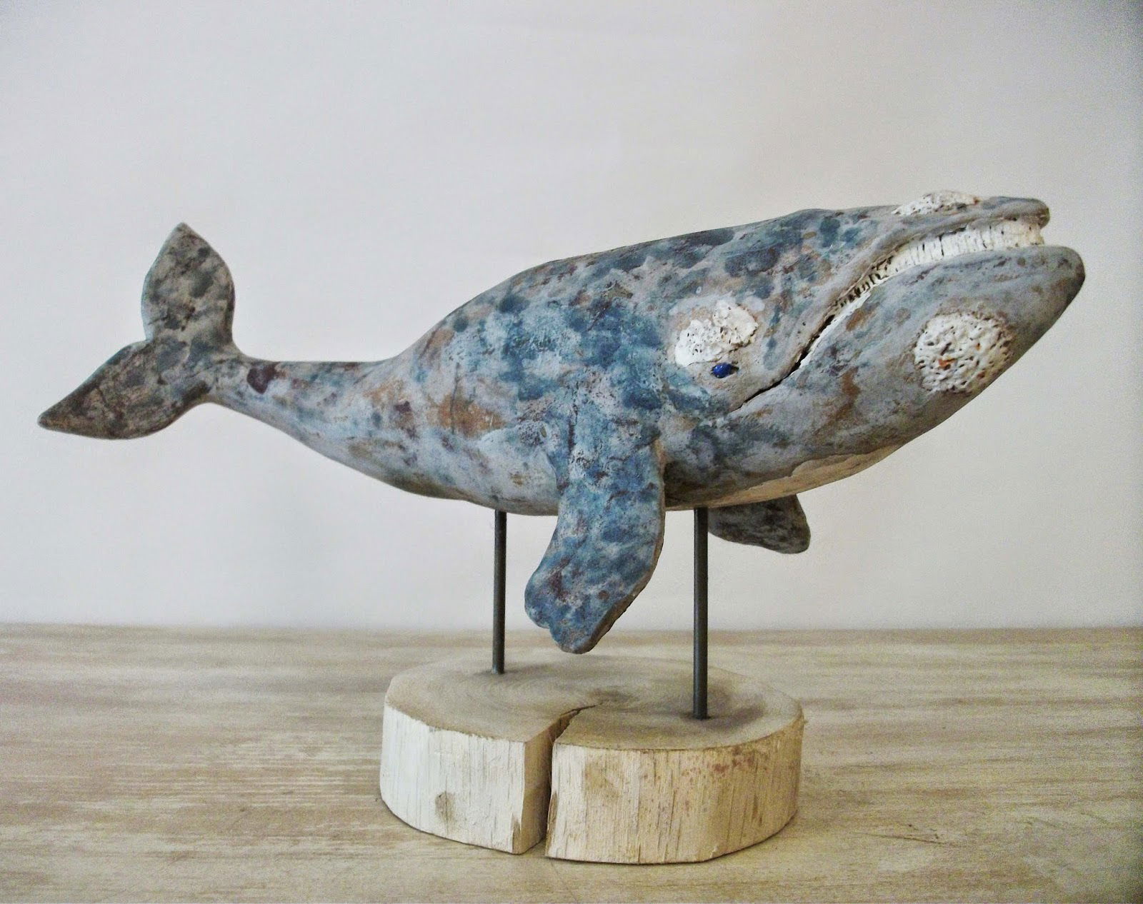 BALLENA FRANCA AUSTRAL
