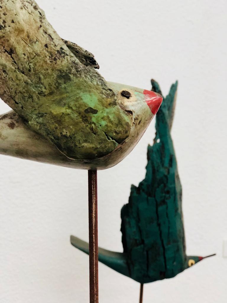 BIRDS - Tree and wood bark (2015)