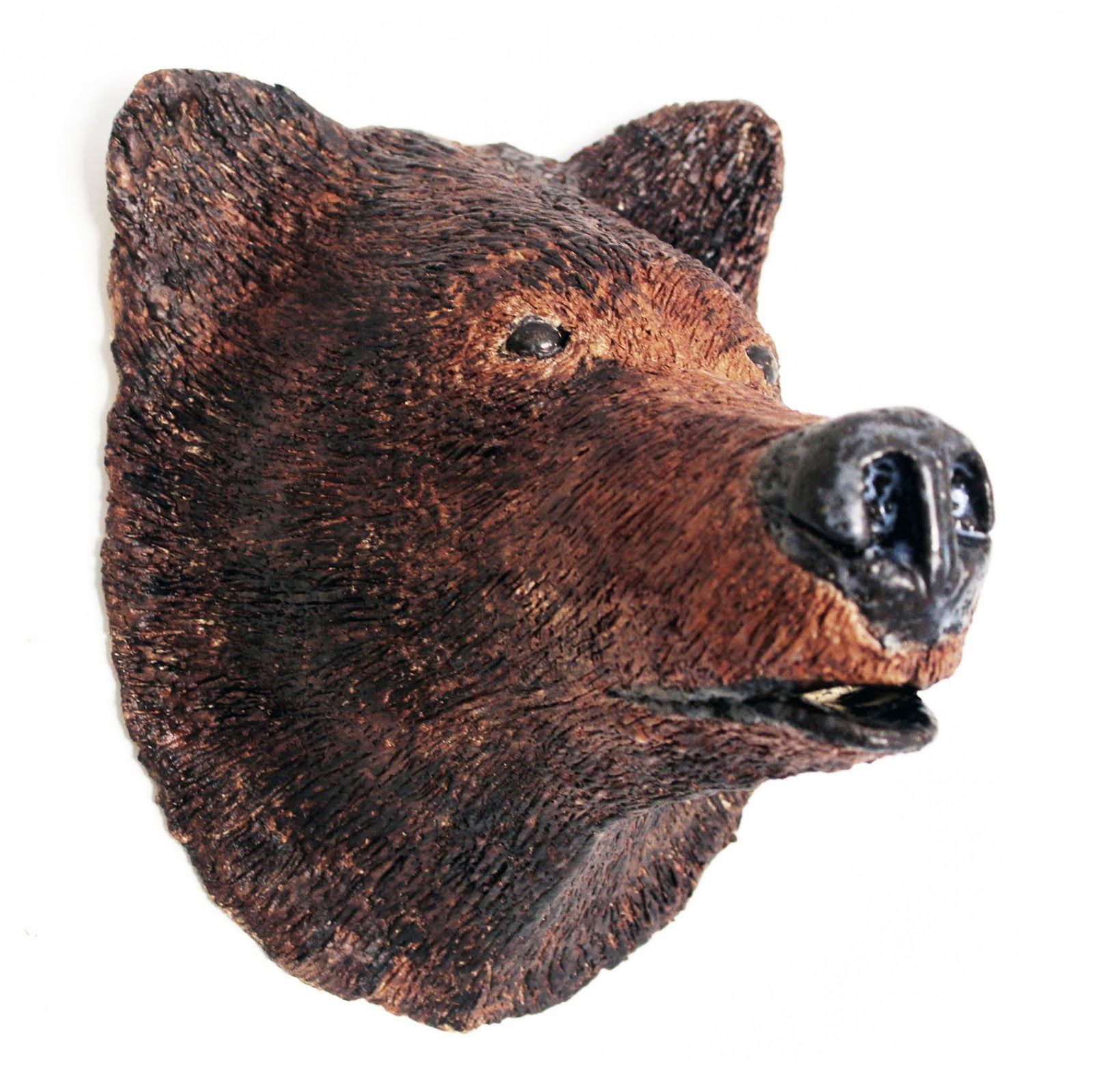 OSO PARDO