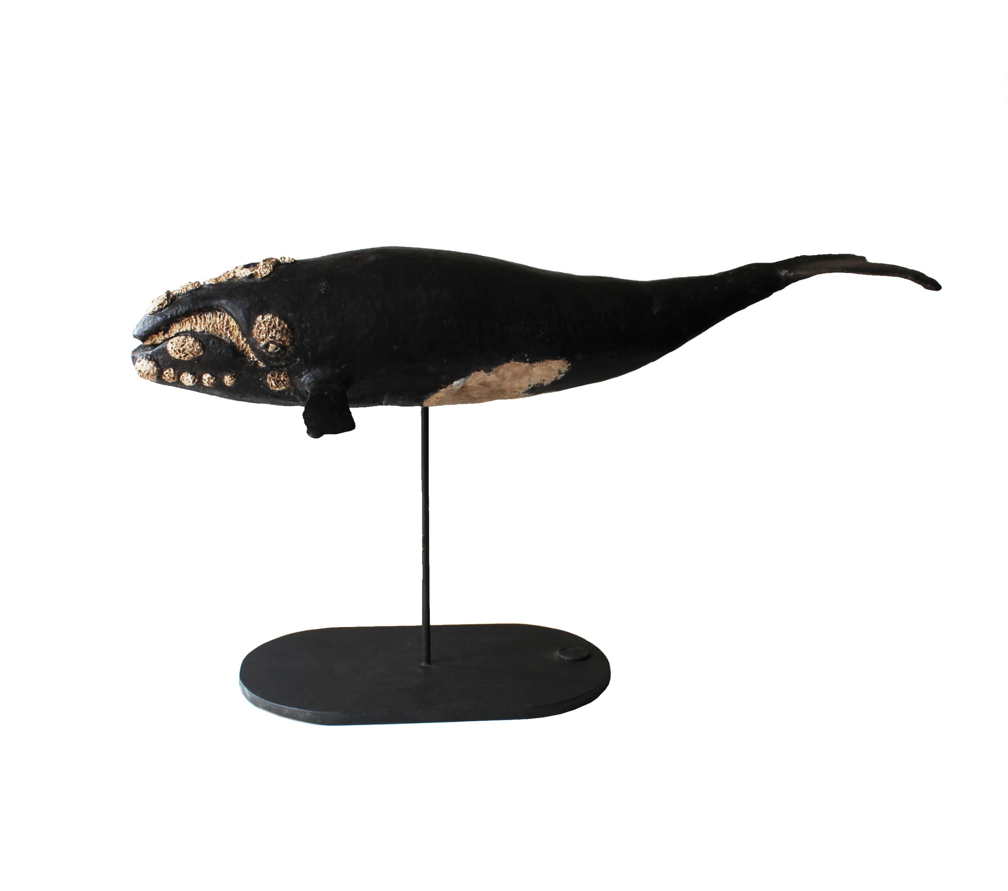 BALLENA FRANCA AUSTRAL