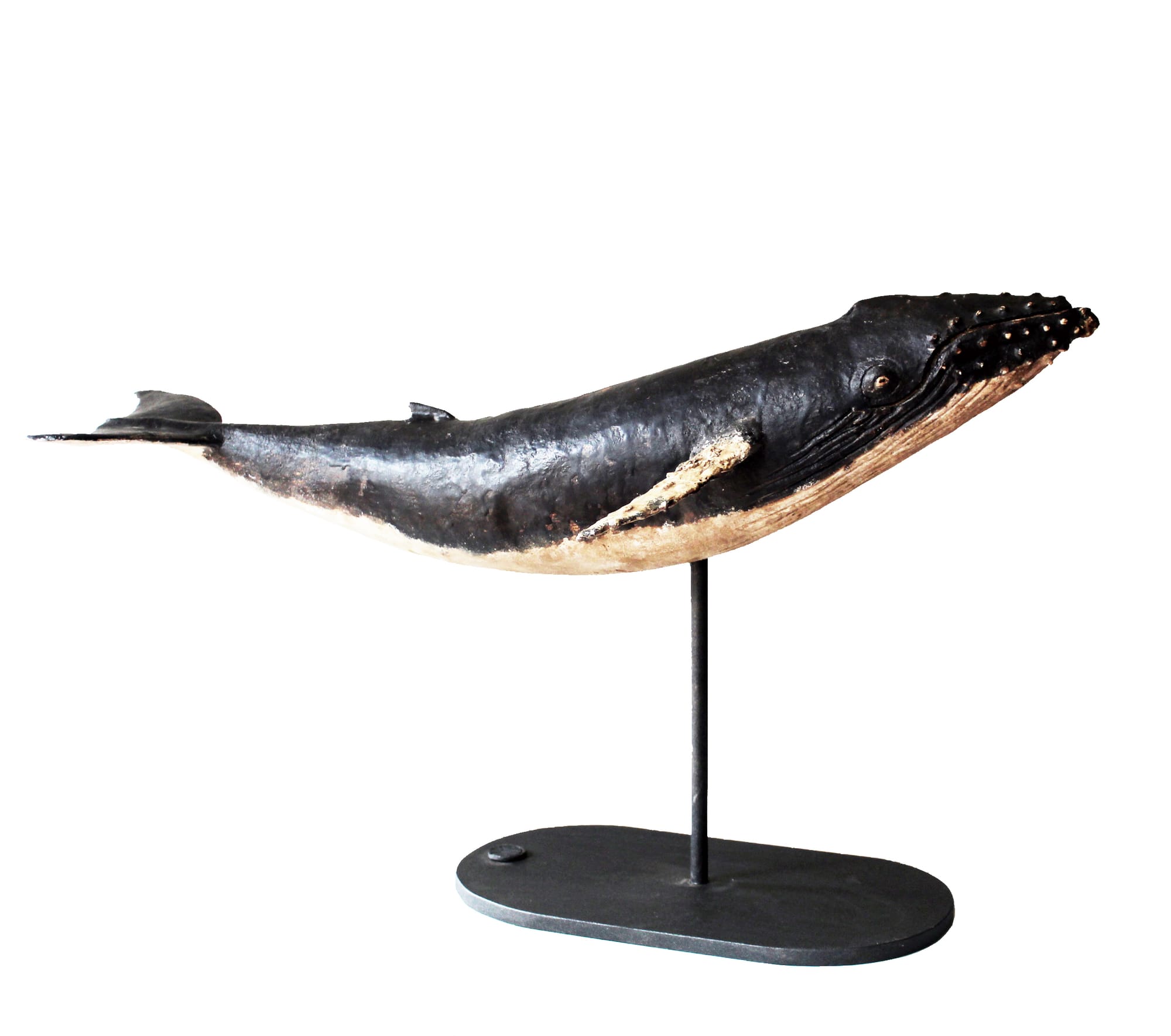BALLENA JOROBADA
