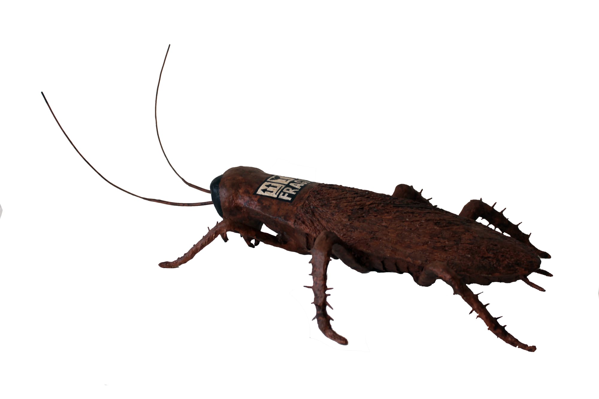 Cucaracha