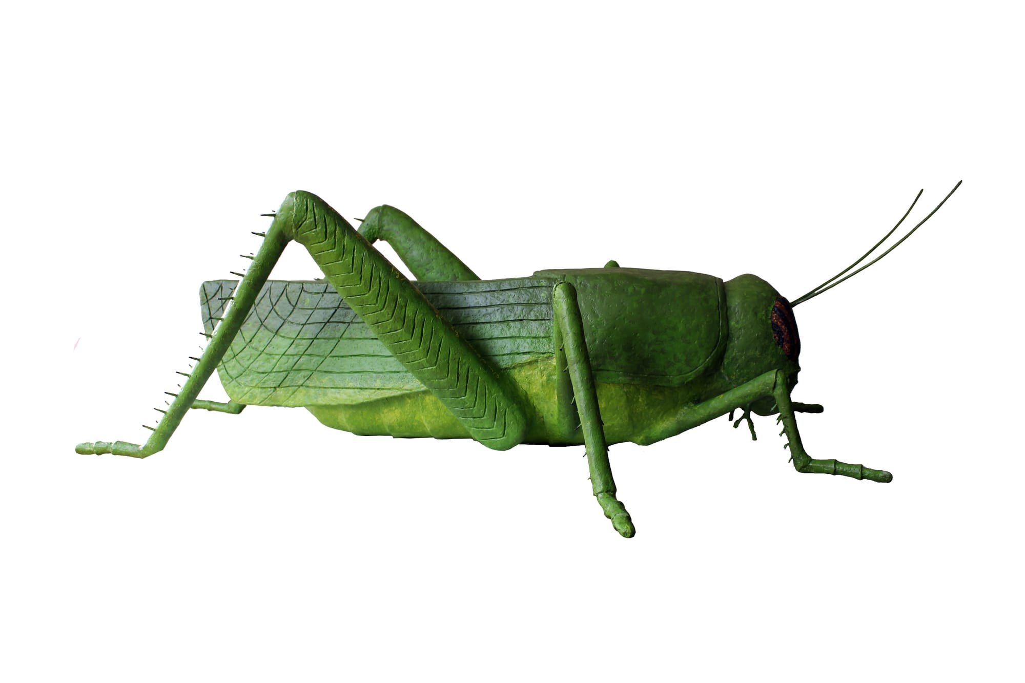 SALTAMONTES