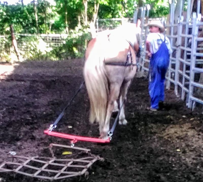 Landwirtschaft