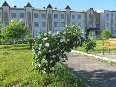 Школа під голубим небом