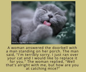 Jokes and Smileys
