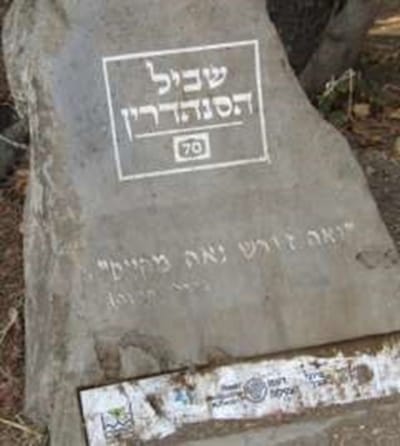 חורשת צבי אהרוני