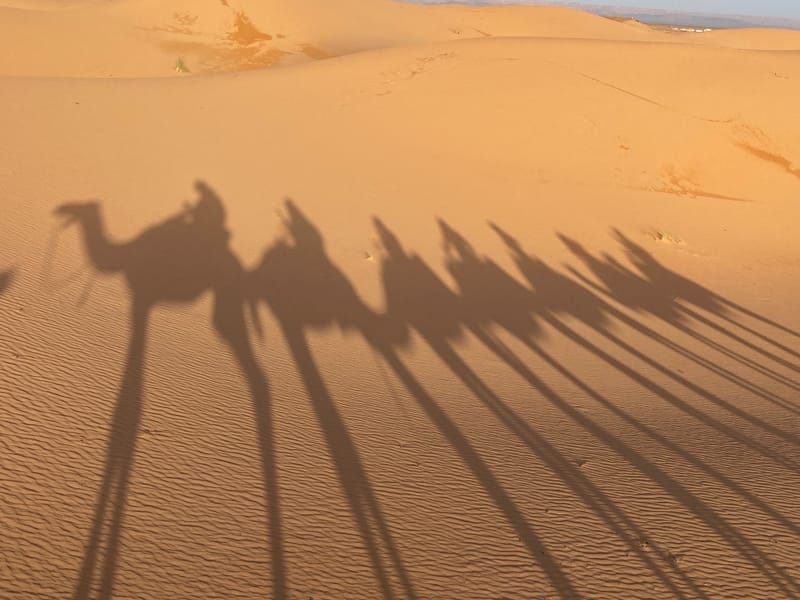 Sahara Desert Trip & Hotel Bookings
