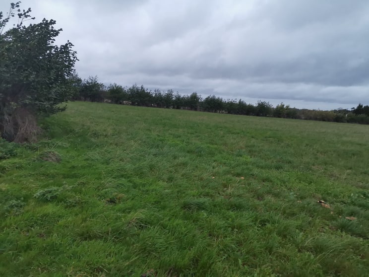 BASIC SCHOOLING/ SALES LIVERY