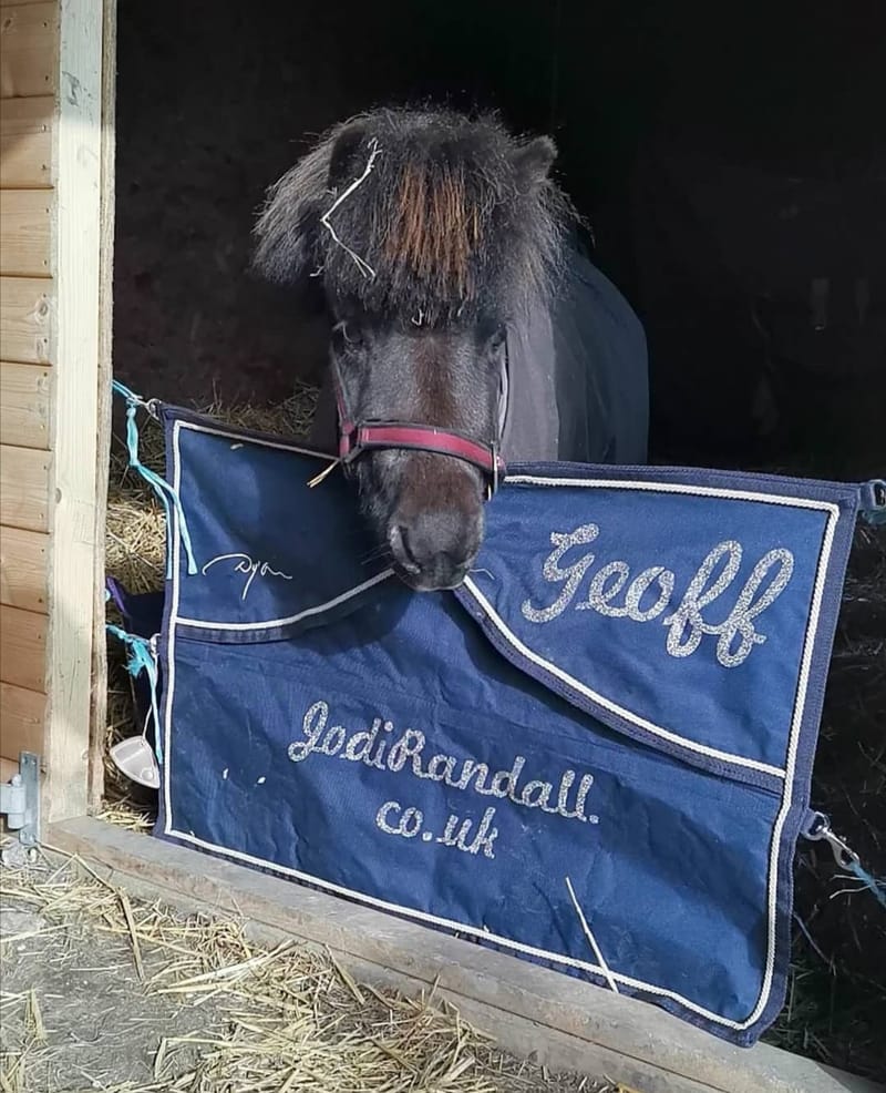 ECONOMY SALES LIVERY