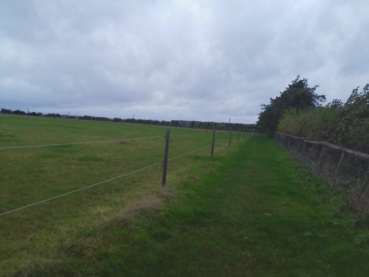 Schooling/ breaking/ sales livery