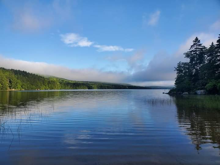 Beauty of Maine