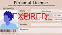 5642 - AuctionACCESS - Expired Salesperson License