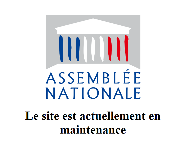 Le site de l'Assemblée nationale paralysé par des hackers pro-russes