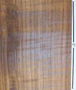 Curly Walnut
