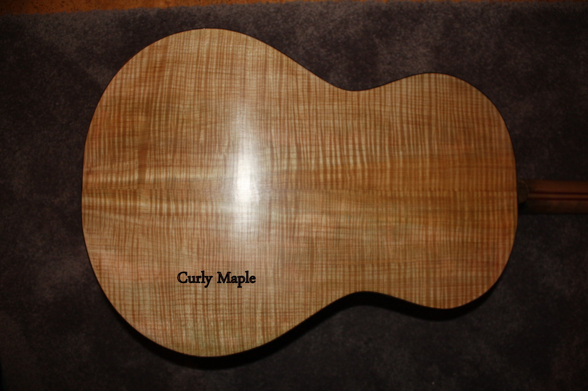 Curly Maple