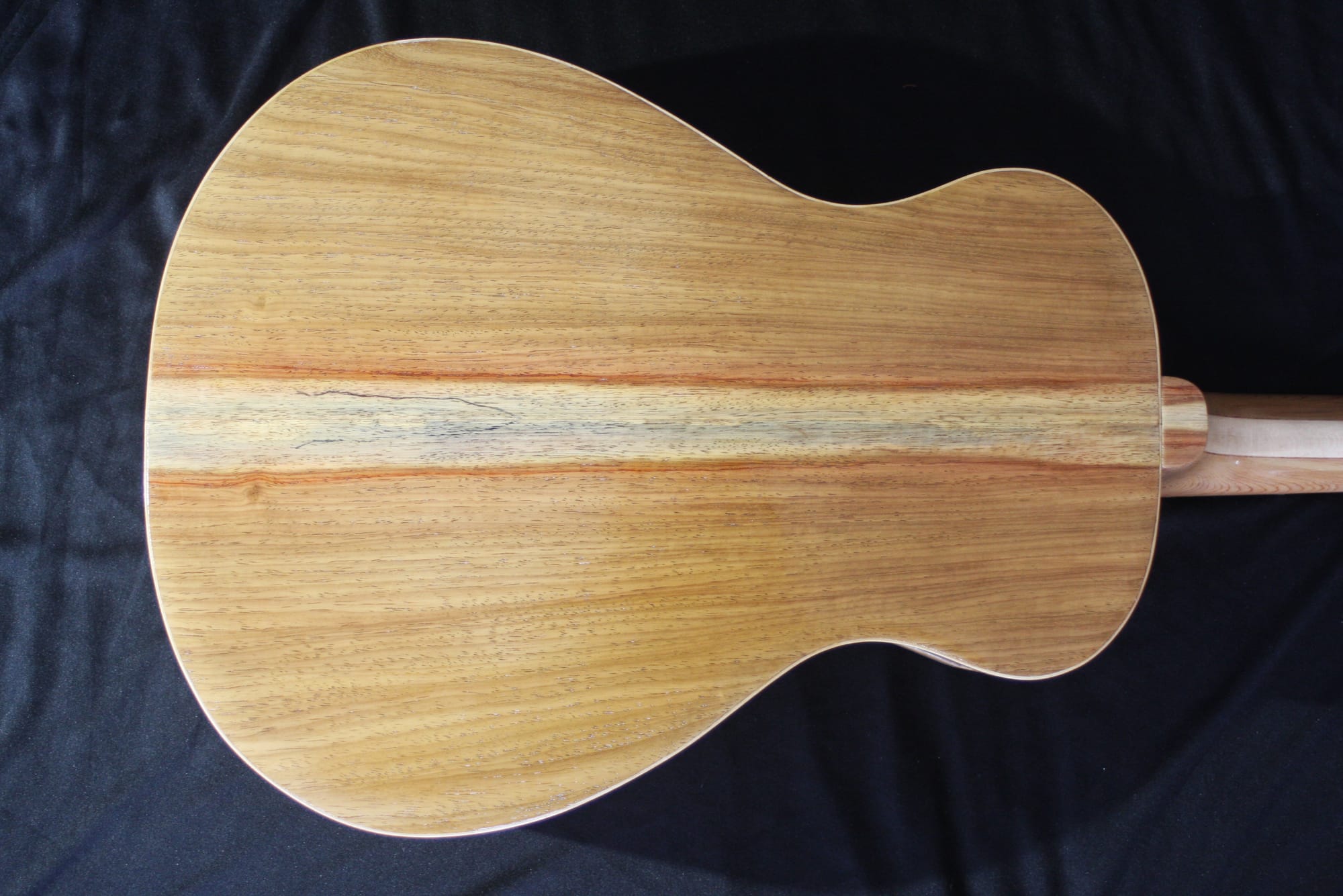 The Back