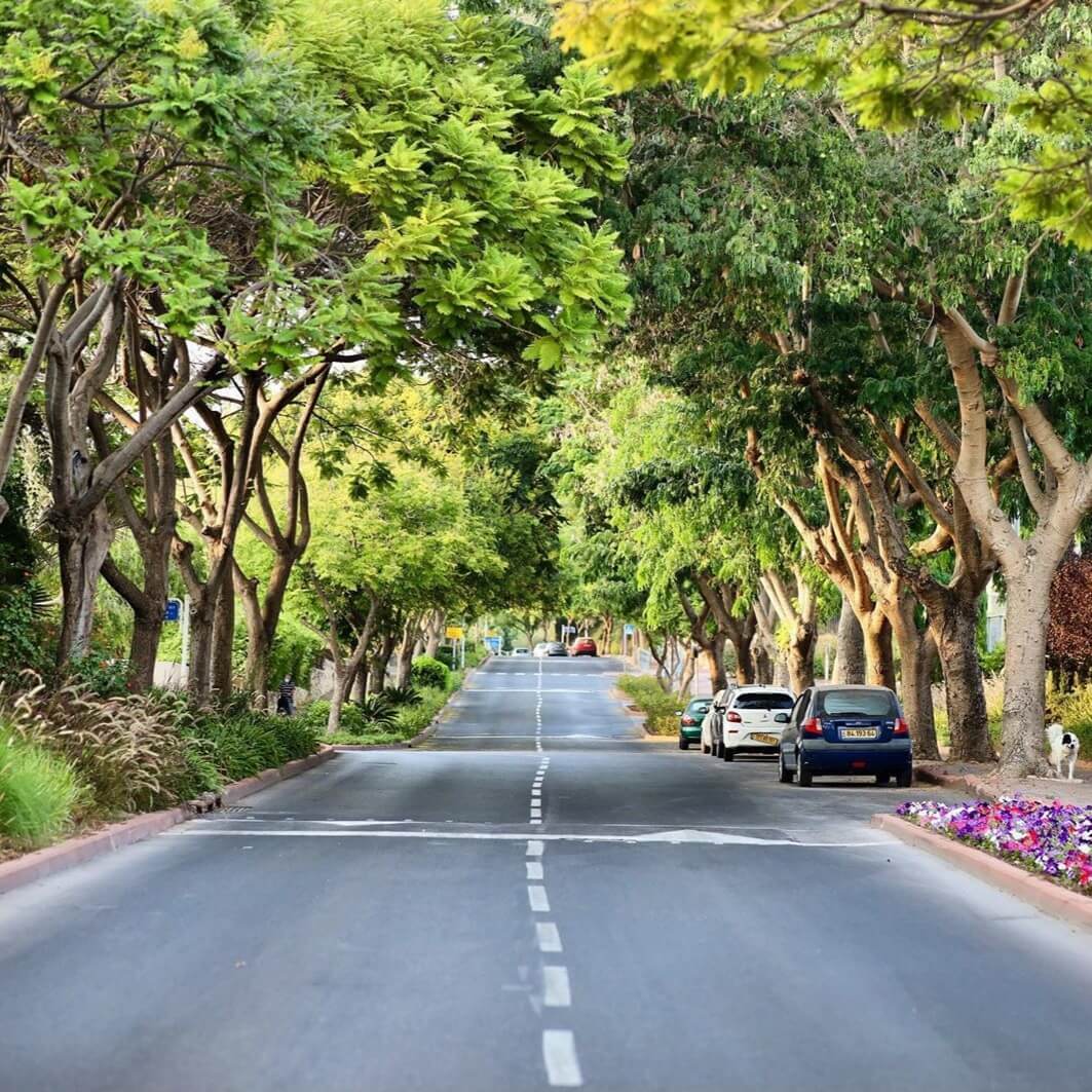 רשימת יום הכיפור שלי