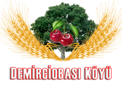 Demirciobası Köyü