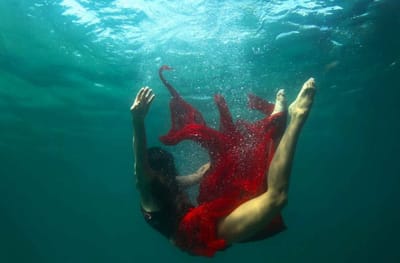 La Psicoterapia