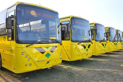 Les moyens de transports en Jamaïque image