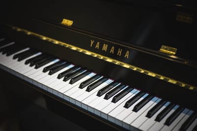 3. Pianos image