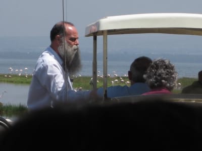 חוגי בית image